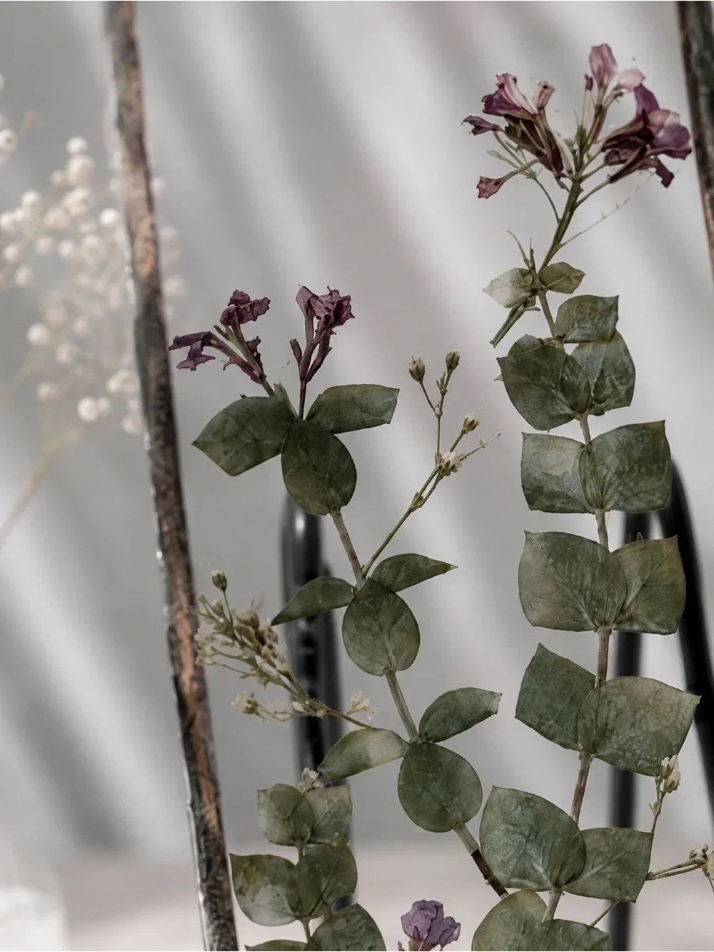 Wild Vine Botanical frame